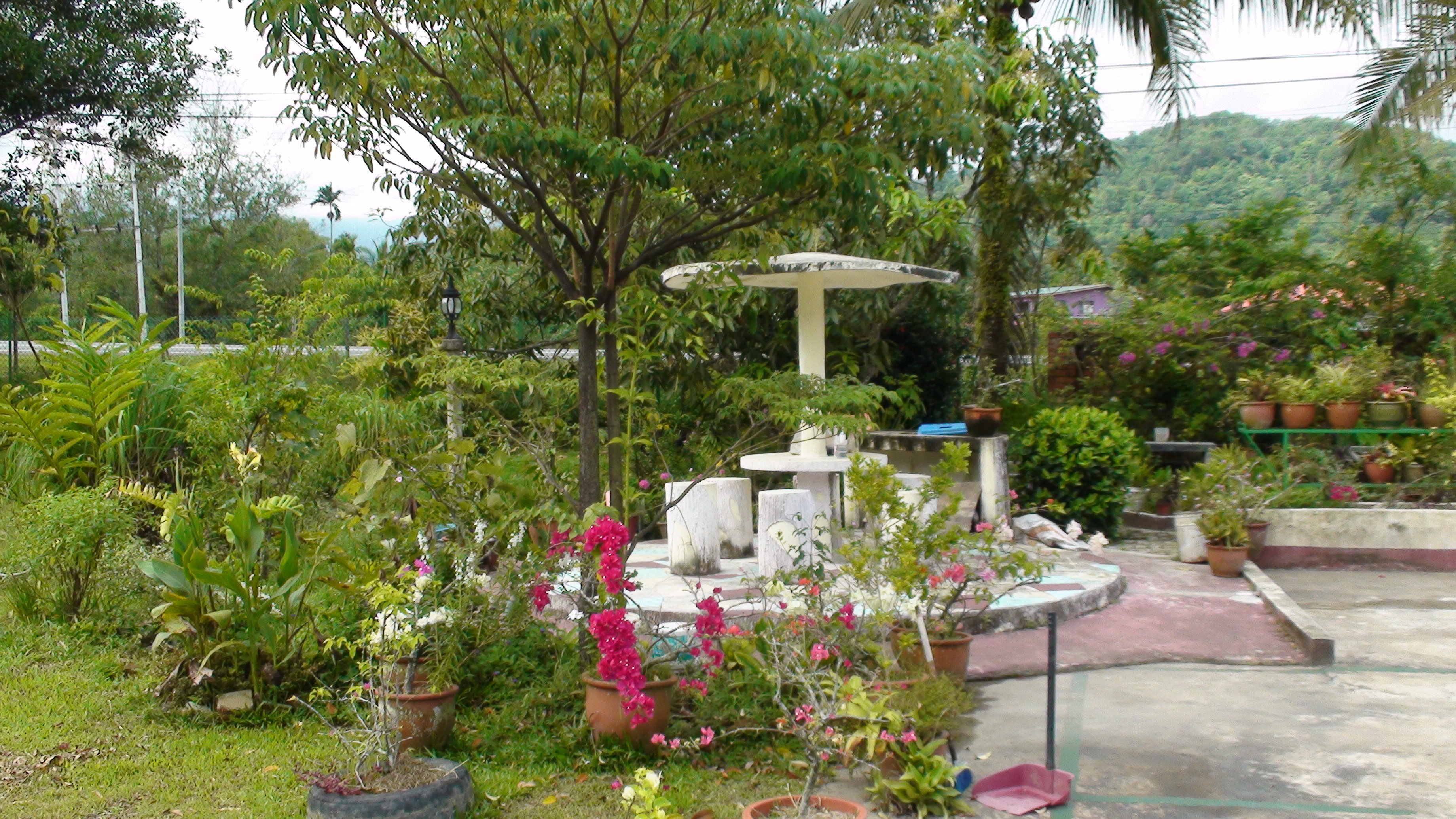 Placeholder  Image