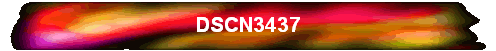 DSCN3437