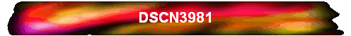 DSCN3981
