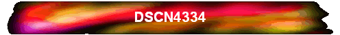 DSCN4334