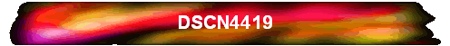 DSCN4419