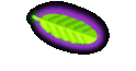 Photo Gallery
