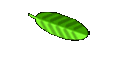 Rates